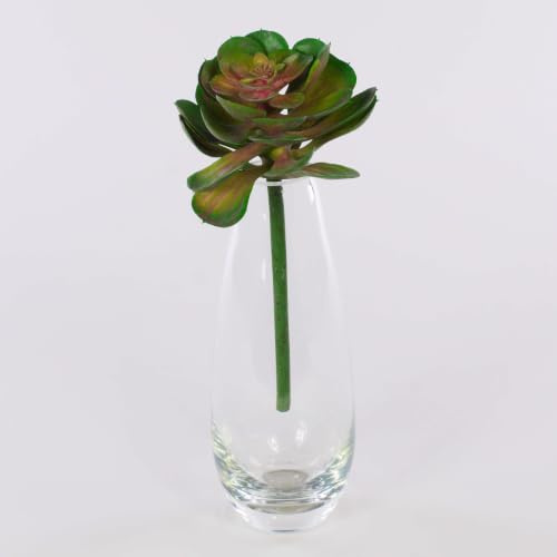 artplants.de Plastik Echeveria gibbiflora Ernesto, Steckstab, grün-rosa, 23cm, Ø13cm - Echeveria künstlich