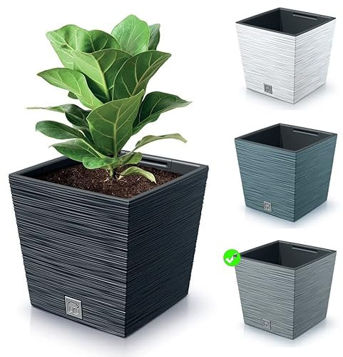 Blumenkasten Blumenkübel Blumentopf Pflanzkübel Quadrat Furu Low Tannennadeln Design mit Einsatz Struktur (240 Grau)