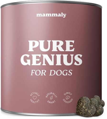 mammaly Pure Genius® Kognitions-Komplex mit Seealge (bis 90 Tage) | mit 90 Snacks für Fokus - mit Probiotika, Omega 3, Zink, Rote Beete, Spirulina - DLG zertifiziert - mit Tierärzten entwickelt
