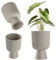KADAX Blumentopf in Kelchform, Pflanztopf aus Kunststoff in 2 Größen, Pflanzgefäß in 5 Farben für Balkon, Terrasse, Fensterbrett, Pokal Pflanzschale, Übertopf (14cm, Grau)