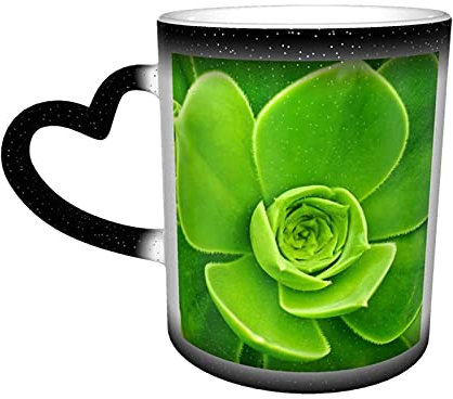 BOHHO Taza de café con diseño de Cactus y plantas suculentas verdes, Taza de Viaje personalizada con cambio de Color negro mágico, Taza de cerámica sensible al calor