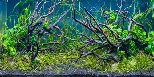 MIRRORANG 61x30cm Tropical Fish Tank Background River Bed & Lake Aquatic Plant Undersea Tree Branch Aquarium Background Vinyl