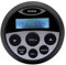 Eighosee ATV al Aire Libre Impermeable EstéReo Bluetooth Radio Auto Media FM Am Receptor para SPA Piscinas Carros de Golf UTV