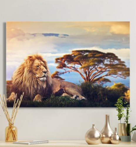 MyMaxxi - Premium Leinwandbild auf Keilrahmen Löwe Savanne Wandbild Design Wand Dekoration, Foto Mehrfarbig Leinwand - Löwe, Groesse_leinwand:30x50 cm