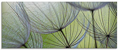 ARTland Wanddeko Glasbilder Wandbild Glas Bild einteilig 125x50 cm Querformat Natur Botanik Blumen Pusteblume Frühling Grün T5PP