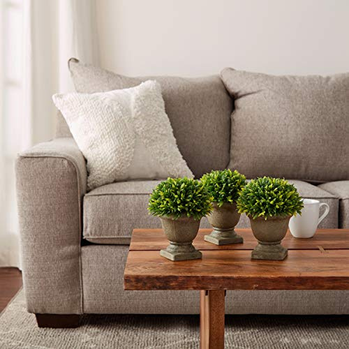 Home Artificial Podocarpus Grass Plant in Concrete Pot- Round Set of 3, 7.5 Decorative Faux Indoor Ornamental Potted Topiary by Pure Garden