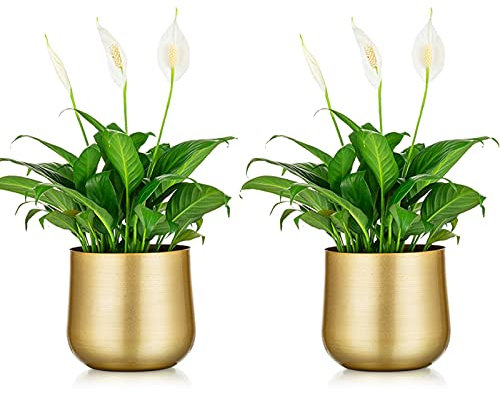 Nuptio 2 Piezas Maceta de Flores Florero de Oro Florero de Metal con Orificio de Drenaje, Organizador de Almacenamiento Regalos Decorativos para la Boda Sala de Estar Balcón Exhibición de Piso