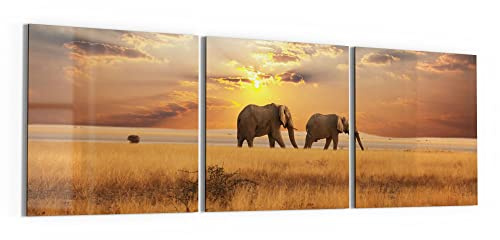 DEQORI Glasbilder Acrylglas | Motiv Elefanten in der Steppe | horizontal 3-teilig 150x50 cm | große XXL Deko | Wandbilder für Wohnzimmer, Schlafzimmer, Flur & Küche | moderne Wanddeko