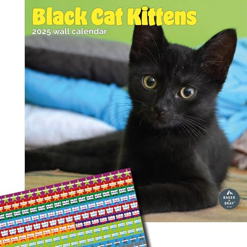 Black Cat Kittens Kalender 2024 | quadratischer Wandkalender | 16 Monate | Baker and Bray