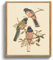 MHARTK66 Vintage Vogel Leinwand Bilder mit Rahmen Holz, 30x40 cm Wandbilder Wohnzimmer Brauner Trogon Bild Aesthetic, Tier Illustration Wanddeko Schlafzimmer Badezimmer Büro Zimmer