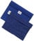 Frio - Bolsa isotérmica para mantener insulina, color azul, 21 x 15 cm