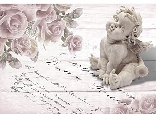 Runa Art Fototapete Vintage Blumen Rose Engel 352 x 250 cm Vlies Tapeten XXL Moderne Wandtapete Wohnzimmer Schlafzimmer Grau 9231011a
