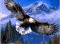 WOWDECOR DIY Malen nach Zahlen für Erwachsene Kinder Mädchen, Adler Weißkopfseeadler Berge Himmel 40x50 cm Vorgedruckt Leinwand-Ölgemälde (Adler, ohne Rahmen)