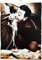 KUSTOM ART Bild Vintage Stil Serie Berühmte Schauspieler Totò Essen Spaghetti Druck auf Holz 10 x 15 cm