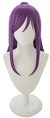 HBYLEE- Anime Cosplay Perücke für Kaoru Seta Perücke,Purple Long Ponytail Perücke Synthetisches Haar,Halloween Kostüm Perücke,für Party Karneval Weihnachten[Farbe:Purple ]