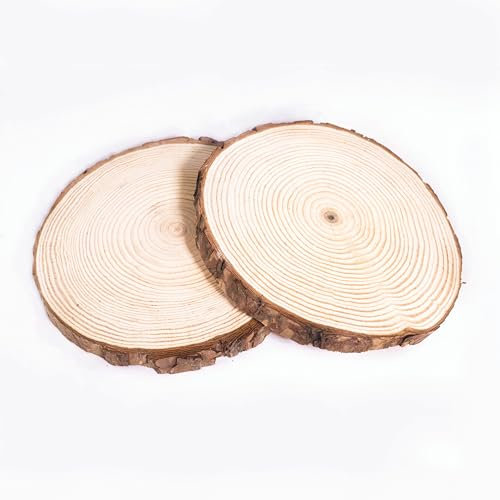 DAHI Lot de 2 Rondin de Bois 19-22cm sans Trou - Disque Rond Bois Deco - Tranches de Bois Naturel - Rondelles Bois - pour le Bricolage, Décorations, Mariage