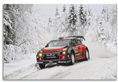 XFUHB Rallye-Renn-Poster, C3, WRC-Rennwagen, Schnee-Galoppier-Poster, dekoratives Gemälde, Leinwand, Wandposter und Kunstdruck, moderne Familienschlafzimmer-Dekoration, Poster, 40 x 60 cm