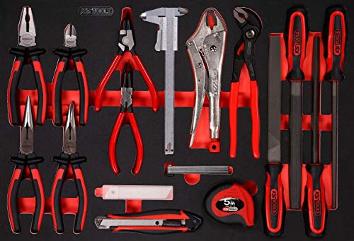 KS Tools 811.0019 Zangen- / und Feilen-Satz in Schaumstoffeinlage, 28-tlg
