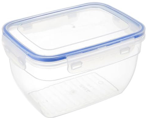 Best House | Small Food Containers with Lids | Rectangle Storage Box | 4 Litres | Set of 1 | Home Kitchen Grocery Storage | BPA Free, Microwave, Freezer & Dishwasher Safe - Airtight SnapLock Lids