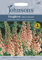 Johnson's Foxglove Apricot Delight, Salmon Pink, 23795