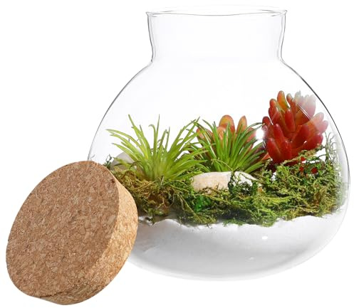 PAMINGONO Rundes Glas Terrarium mit Korkverschluss 15x16cm Transparenter Mikro Landschaftsbehälter Luftdichter Öko Flaschengarten für Sukkulenten und Pflanzen Dekoration