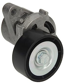 SNR Spannrolle für Keilrippenriemen, GA355.14