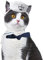 Enjoying Katze Matrosen Kostüm Kleiner Hund Matrosen Outfit Marine Katze Hut mit Krawatte Kapitän Katze Kostüm