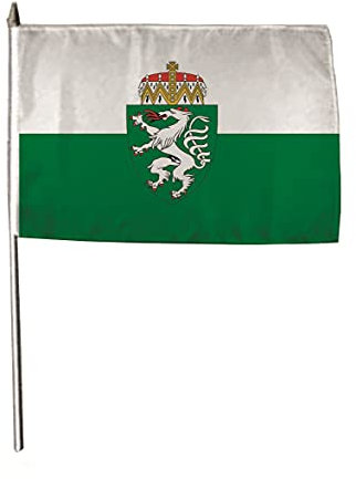 U24 Flagge Fahne Stockflagge Steiermark 30 x 45 cm Stockfahne 3er Pack
