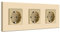 BSEED Schuko 3 enchufes empotrables enchufe empotrable, enchufe de pared con placa de PC, enchufe empotrado de 16 Amp estándar de la UE, enchufes de seguridad para niños, dorado 228 mm