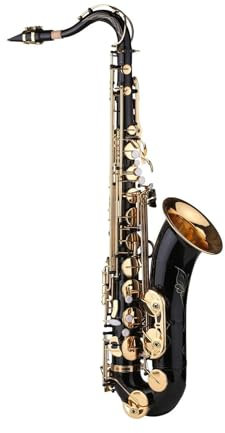 B-Tenorsaxophon Bb Schwarzlack Saxophon Mit Instrumentenkoffer Mundstück Zubehör