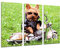 Wandbild - Hund mit Motorrad, Kinder, 97 x 62 cm, Holzdruck - XXL Format - Kunstdruck, ref.26267