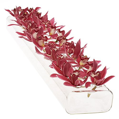 Chive - Hudson Vase rectangulaire unique en verre transparent, long et bas, élégant vase décoratif pour la décoration de la maison et les mariages, l'un des objets préférés d'Oprah (flûte à 24 trous)