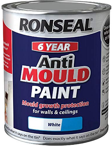Ronseal 6 Year Anti Mould Paint - Silk White - 2.5L