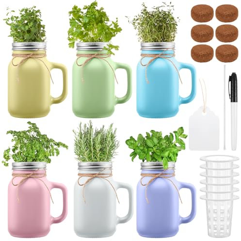 Vesici 6 Set Self Watering Glass Planter Mason Jar Grow Set Glass Flower Plant Pot with Inner Pot for Herbs Flowers Seed Starter Hydroponic Growing