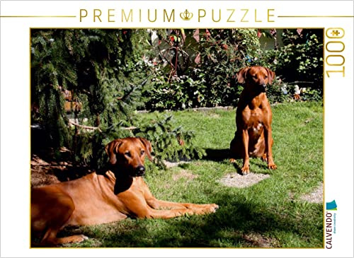 CALVENDO Puzzle Rhodesian Ridgeback Hündinnen | 1000 Teile Lege-Größe 64 x 48 cm Foto-Puzzle für glückliche Stunden