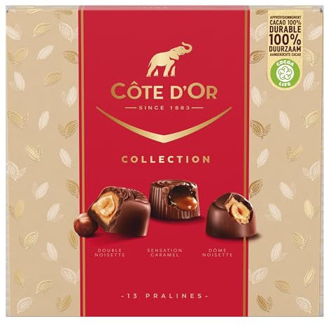 CÔTE D'OR - Coffret Collection de Fêtes - Assortiments de 13 Pralines - 3 Recettes : Double Noisette, Sensation Caramel, Dôme Noisette - Boîte Chocolat à Offrir - Idée Cadeau Noël - Boîte de 135 g