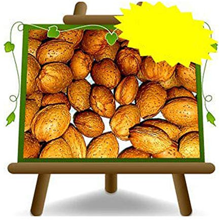 EURO PLANTS VIVAI Amandier Genco - Plante fruitière vieux sur pot 26 cm. - hauteur maximale 180 cm - Age cm - 4 ans