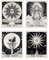 AHANDMAKER 4 Stück Niedliche Wandteppiche 4 Tarot, Kleine Größe, Ästhetischer Wandteppich, Vintage-Ästhetische Heimdekoration Für Schlafzimmer, Wohnzimmer, Band, Club, Gesellschaft (15'' × 20'').