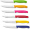 targzier Steakmesser Set 6 teilig, Steak Messer Set aus Edelstahl mit Wellenschliff,Scharfes Messerset Steakbesteck Set,Geeignet für Restaurants,Hotels und Dinner Party,Mehrfarbig,Spülmaschinenfest