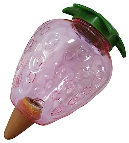 PHENOFICE Dispositif Arrosage Automatique Forme De Fraise pour Plantes Bulbe Irrigation Réutilisable pour Fleurs Pot