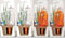 Scheurich Wasserspender Bördy S | 4er Set Transparent/Orange | 90 ml Füllmenge | Bewässerungskugel klein mit Ton Fuß | Wasserspender Pflanzen und Blumen Terrakotta Stiel