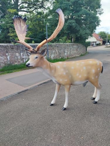XXL Damhirsch Hirsch lebensgross 180cm Wild Gartenfigur Cudek Garten Deko Figur