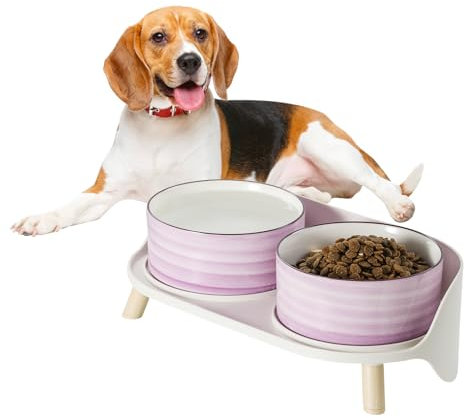 Elevated Ceramic Dog Bowl Set - Raised Double Dishes with Splash-Proof Stand - Vibrant Whorl Series - Food & Water Bowls for Small/Medium Dogs - 2 Cups (27 fl oz) - Purple