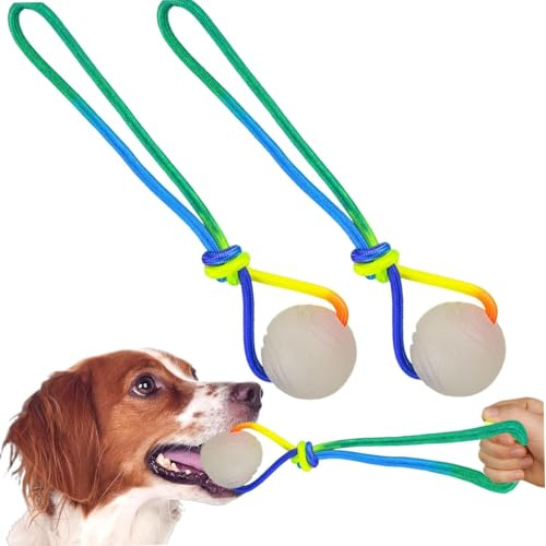 Aakluk 2 Stück Im Dunkeln Leuchtender Hundeball | Leuchtende Gummibälle Mit Seil Für Hunde Hüpfbälle | Interaktives Kauspiel Für Kleine, Große Und Mittelgroße Hunde, Leuchtet