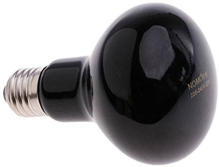 Fenteer ienbirne Nachtlicht Lampe Hängende Dekorative Beleuchtung, 25w
