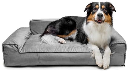 Bjird Hundebett - Hundekorb für kleine mittelgroße & große Hunde - Hundekissen - Hundesofa - Bezug abnehmbar und waschbar - Glamour New - Größe: L: 98 x 66 cm - Grau Fancy