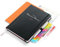 weekview Business Planner Premium 2025 A5+ mit Tafelkalender, Sticker, Griffregister, Froschtasche, Stiftschlaufe, Stift, Gmund Notizheft, Wochen-/Monatsübersicht, Quartalsplanung, Notizseiten