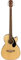 Fender CB-60SCE Acoustic Bass, Walnut Fingerboard, Natural, Comes with Free Virtual Lessons