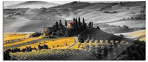 Pixxprint Glasbild Panorama, Wandbild aus Echtglas, Toskana Landschaft mit Feldern, 120x50 cm, inkl. Aufhängung und Abstandshalter