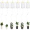 Flintronic 6PCS Unidades Bolsa Dispositivos Automáticos de Riego Para Plantas, Sistema AutomáTico de Riego de Plantas, 3500ML, Para Jardín BonsáIs, con Trampa Atrapa Moscas*6, Gancho*6